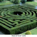 a maze at hever castle