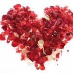 You won't find Rose petals at Accent Inns BC Hotel for Valentines day