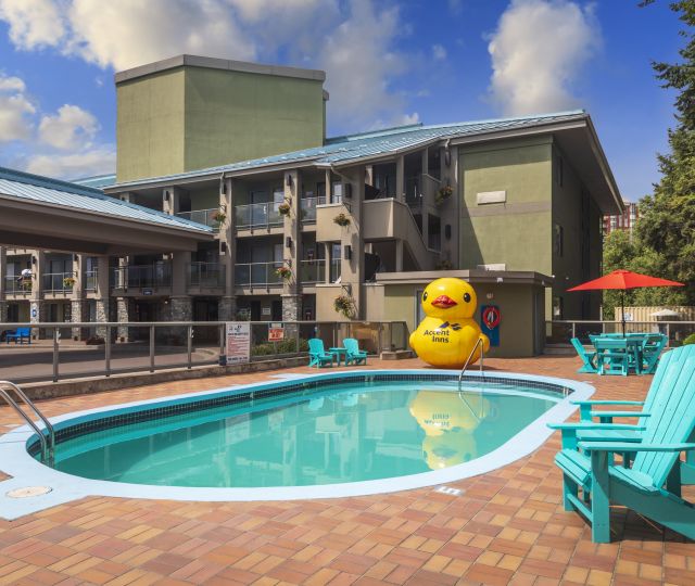 Accent Inns Kelowna Pool