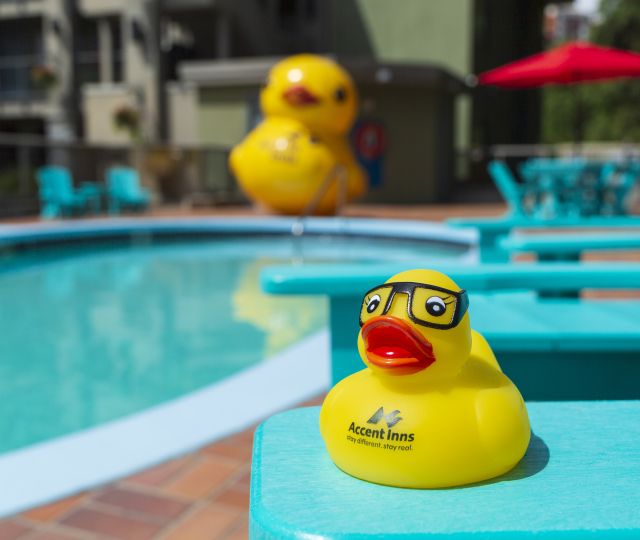 Accent Inns Kelowna Pool