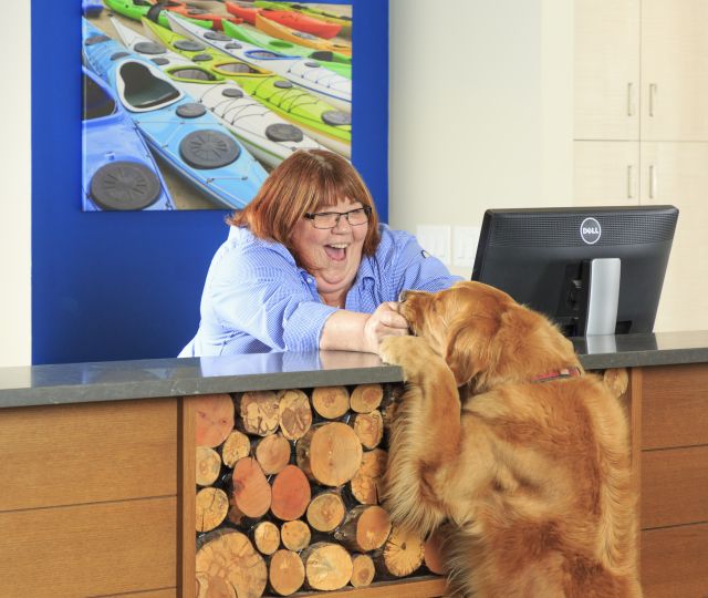 Accent Inns Pet Friendly