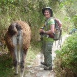 Accent Inns Canuck Duck looking for a ride to Machu Picchu