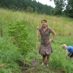 Victoria hotel chain Accent Inns president mandy farmer planting dogwood tree