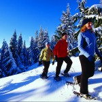 Snowshoeing at Grouse on the North shore 2011 not far from Accent Inn Burnaby hotel