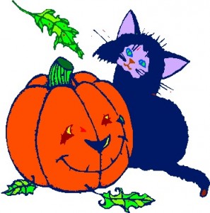 pumpkin_cat