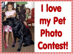 I love my pet contest