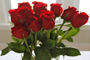 red-roses