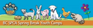 2015-spring-break-camps