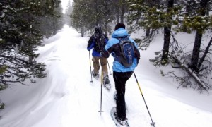 Snowshoeing