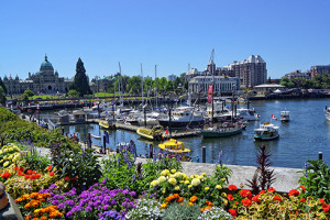 inner harbour