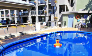 duck in Kel pool